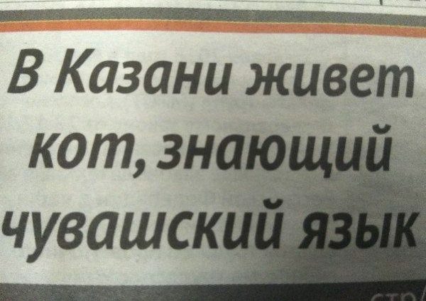 Убойные заголовки наших новостей