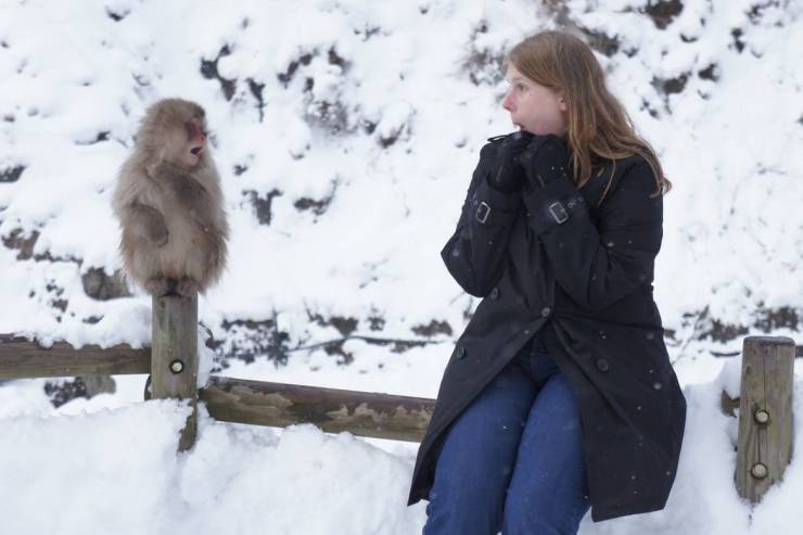Подборка прикольных картинок.   приколы,смешные картинки,юмор