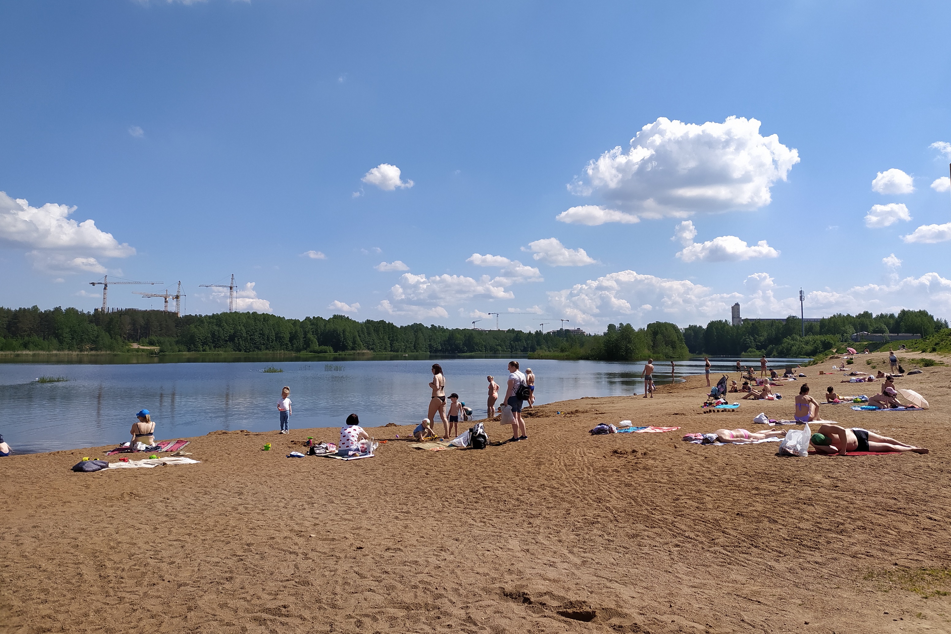 Пляж озеро. Озеро Безымянное в Красносельском. Безымянное (озеро, Санкт-Петербург). Озеро Кривуша озёры. Озеро Сенеж городской пляж.