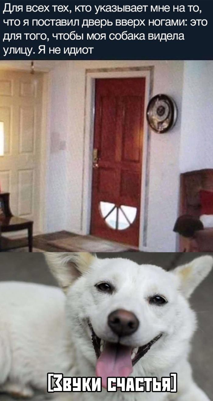 Веселые, смешные и прикольные фотографии из сети с надписями Веселые, смешные и прикольные фотографии из сети с надписями картинки с надписями,красивые фотографии,прикольные картинки,смешные комментарии,угарные фотки,юмор