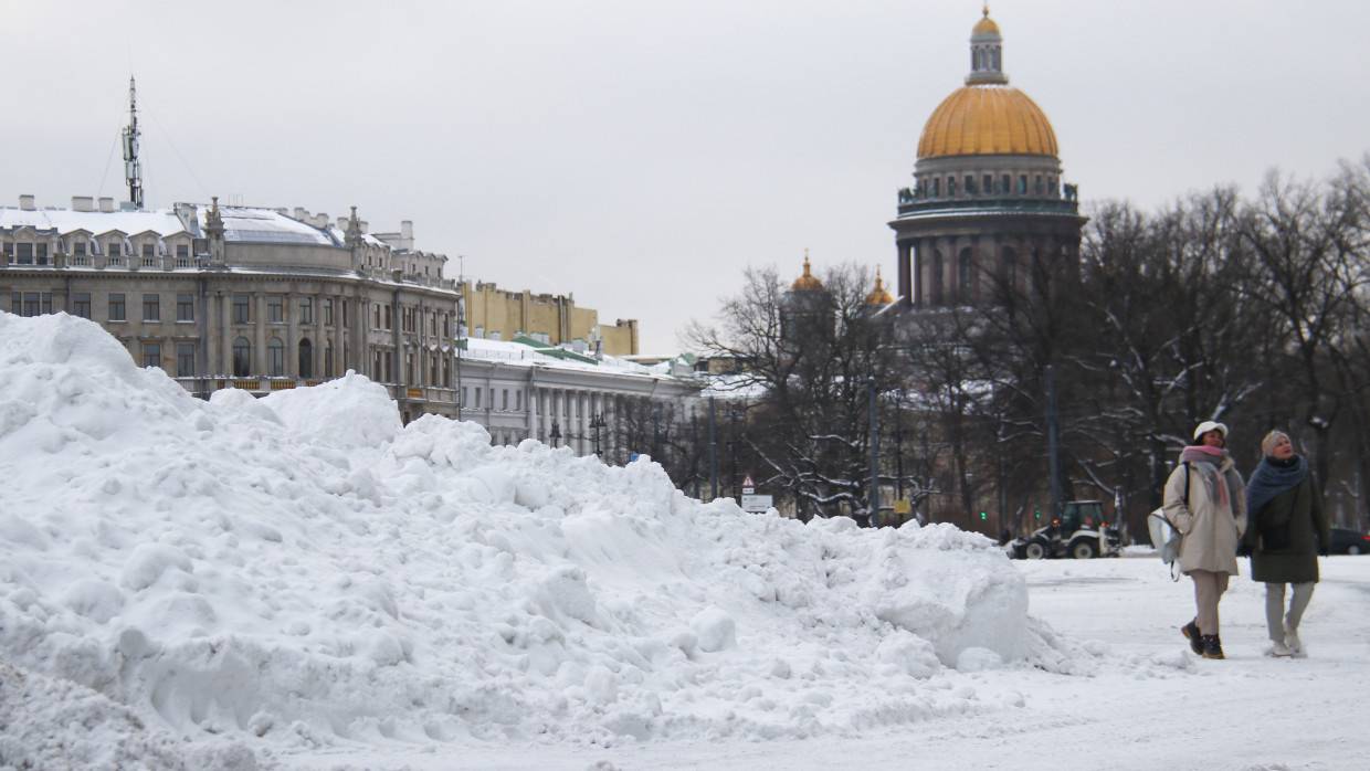 Петербуржцы не дождались помощи от Смольного и сами начали чистить улицы от снега