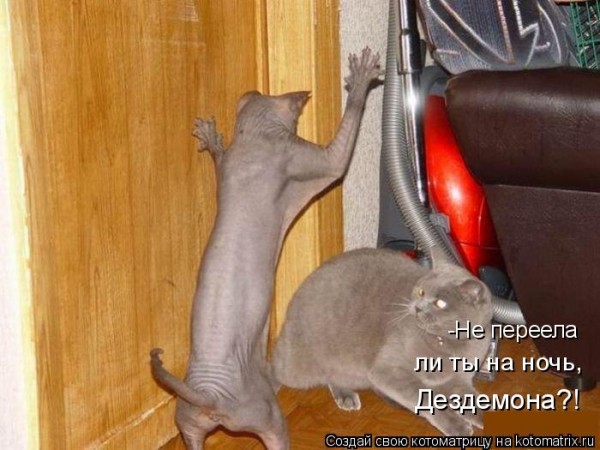 Мысли вслух :)
