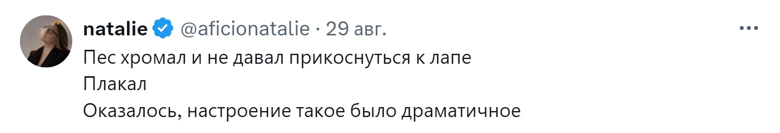 «Новообразование оказалось пупком»: 15 забавных причин, зачем питомцев возили к ветеринару правда, нужно, чтобы, кошки, совершенно, случае, возили, животных, животное, может, можно, своих, просто, узнать, ветеринару, внимание, Другое, Иногда, хозяин, начнёт