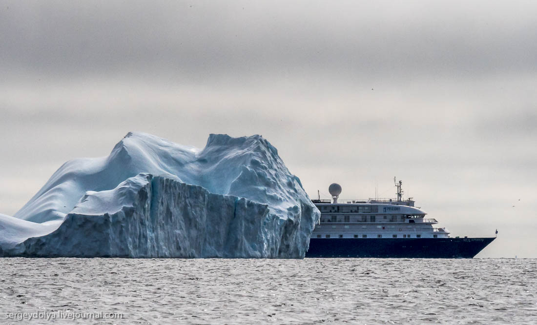 MSC Гренландия