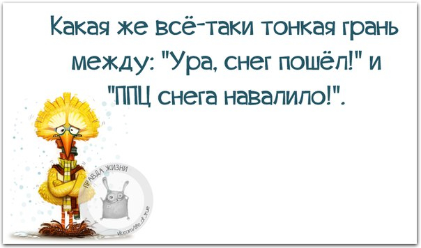 - Что главное в боксе?- Шубы!- Что?! Какие еще шубы?!- Шелые передние шубы! веселые картинки