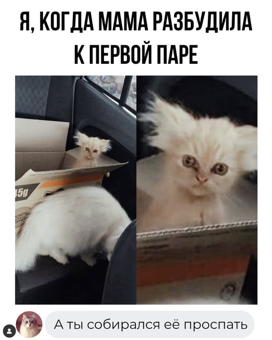 Комментарии, которые добавляют острый соус в ленту постов Комментарии, которые добавляют острый соус в ленту постов