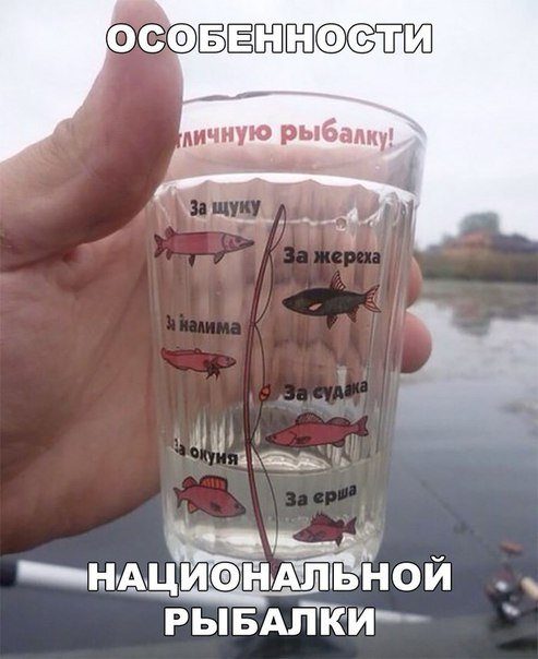 Свежие прикольные фотомемы