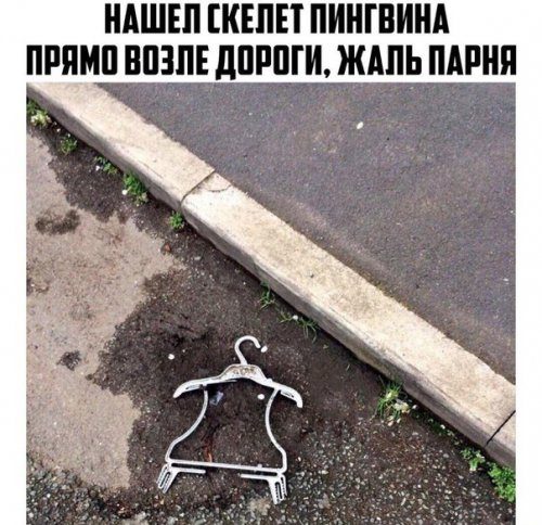Свежие прикольные фотомемы