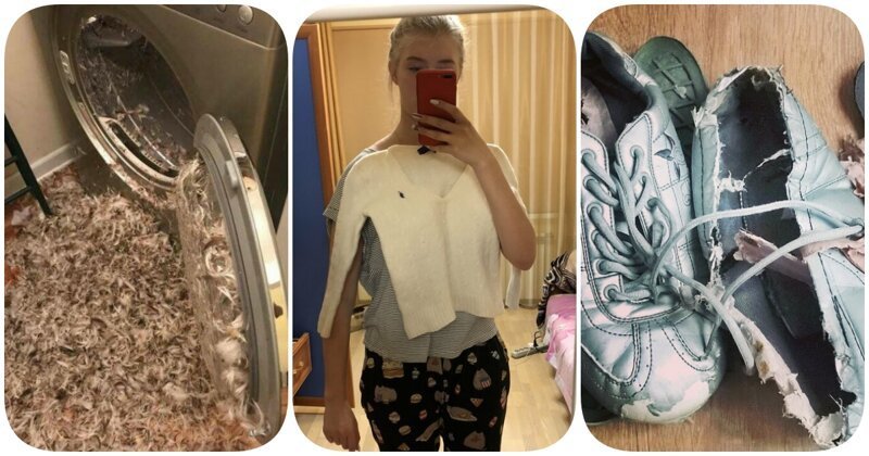 Постирал называется: 15 печальных фото, когда стирка пошла не по плану