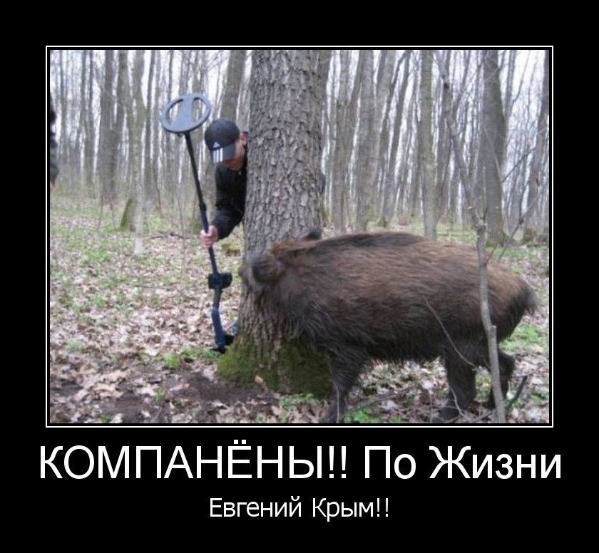 Прикольные картинки про охоту на кабана, праздником крещением господним