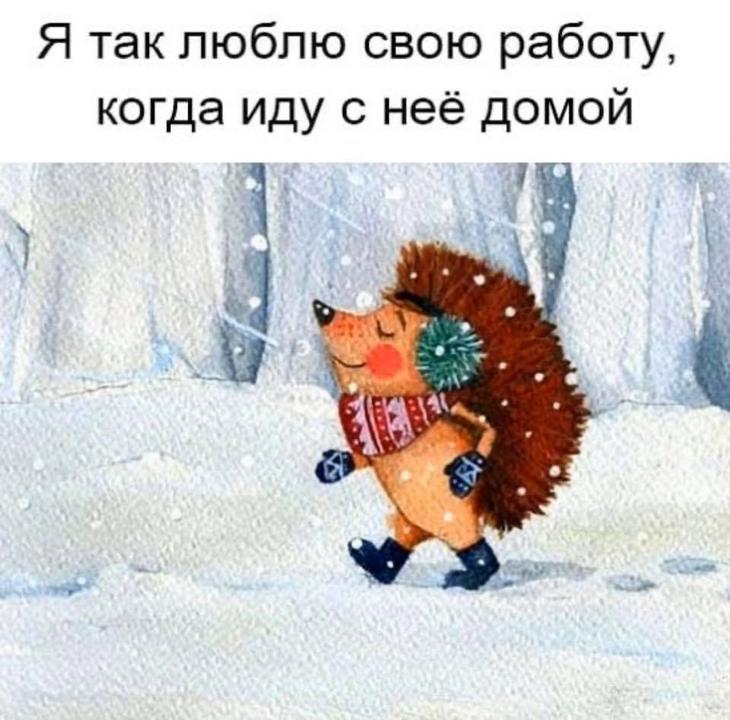 Юмор для великолепного настроения 