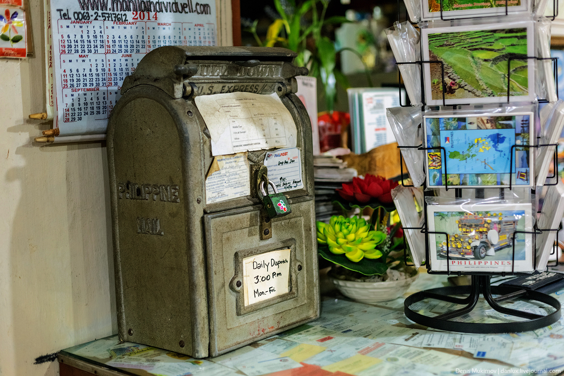 Как на Филиппинах выращивают сыр познавательно