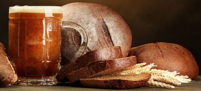 Как приготовить квас в домашних условиях из свеклы, хлеба, березового сока и другие варианты Как приготовить квас в домашних условиях из свеклы, хлеба, березового сока и другие варианты готовим дома,кулинария,напитки,рецепты