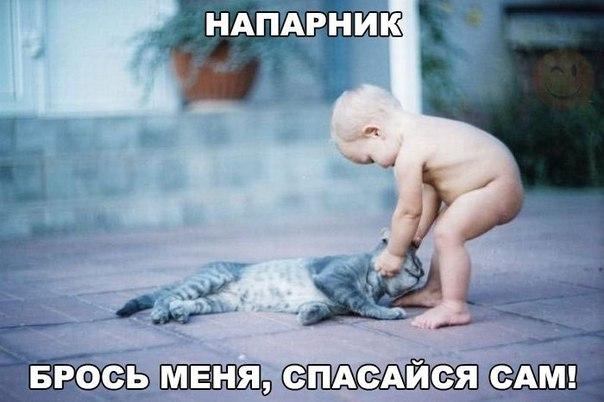 Подборка зачетных, классных и прикольных фотографий с забавными надписями со смыслом Подборка зачетных, классных и прикольных фотографий с забавными надписями со смыслом картинки с надписями,красивые фотографии,прикольные картинки,смешные картинки,смешные комментарии