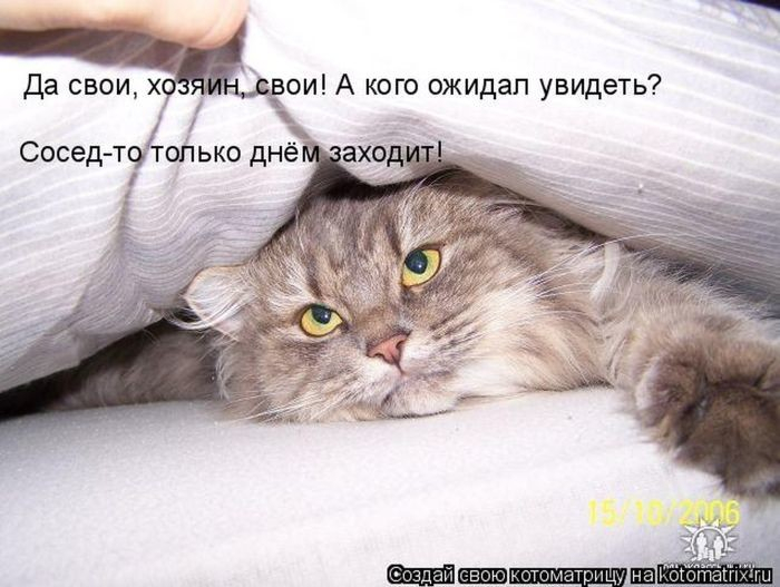 Пусть он ходит везде с тобой, там поймешь, кто такой..) веселые картинки