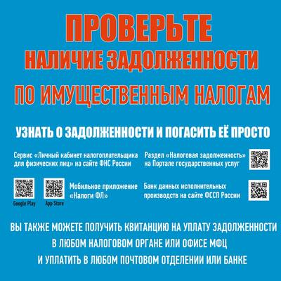 Как не испортить отпуск из-за налоговых долгов: совет от налоговых органов