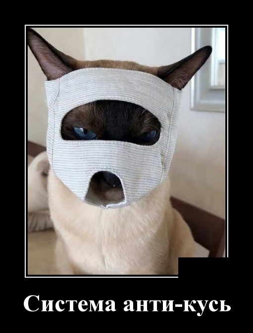 Подборка зачетных и классных демотиваторов для хорошего настроения со смыслом демотиваторы свежие,приколы,смешные демотиваторы,юмор