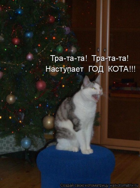 Мысли вслух :)
