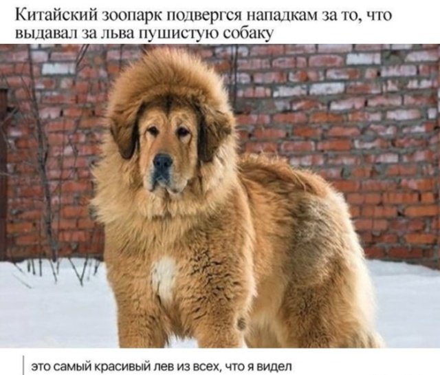 Фотоподборка вторника Фотоподборка вторника