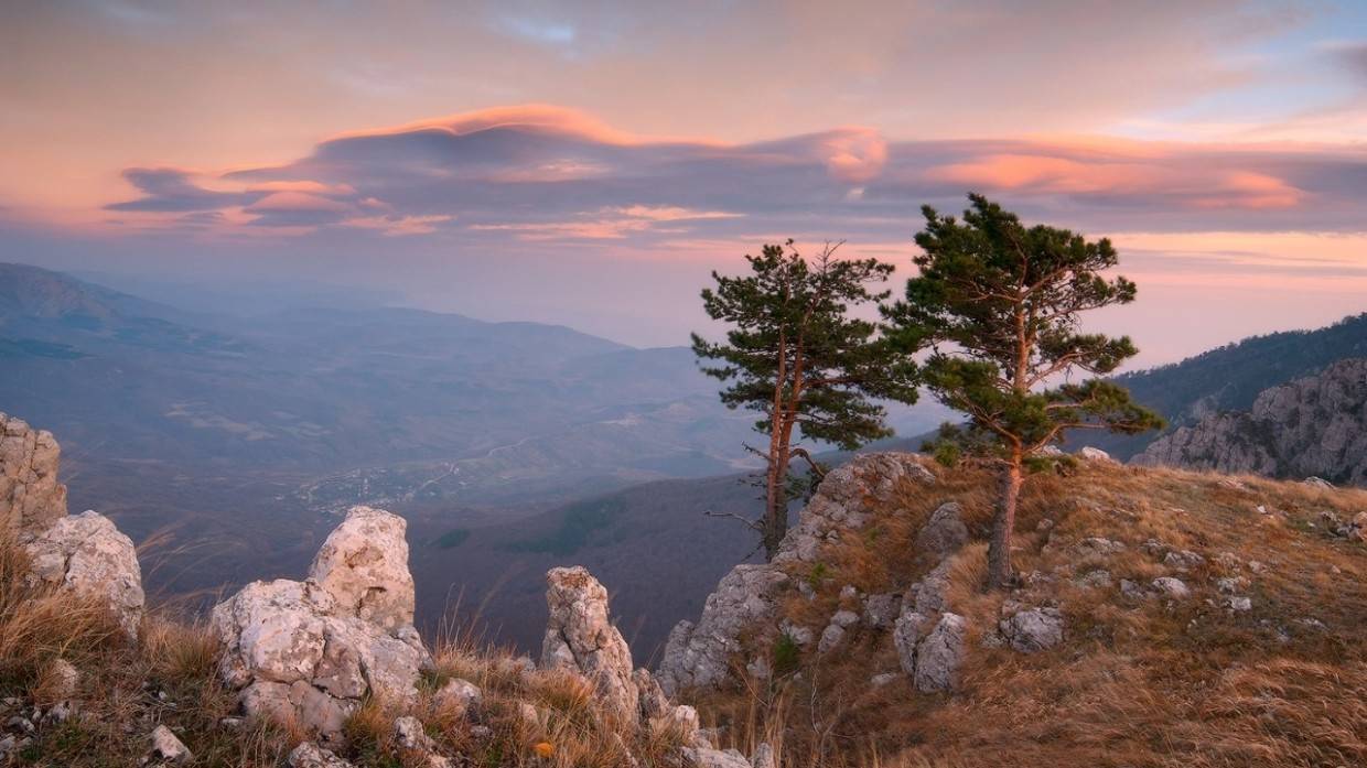 Минприроды: число заповедных земель в России планируется увеличить до 30%