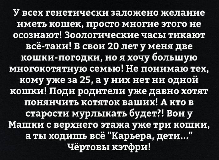 Пусть он ходит везде с тобой, там поймешь, кто такой..) веселые картинки
