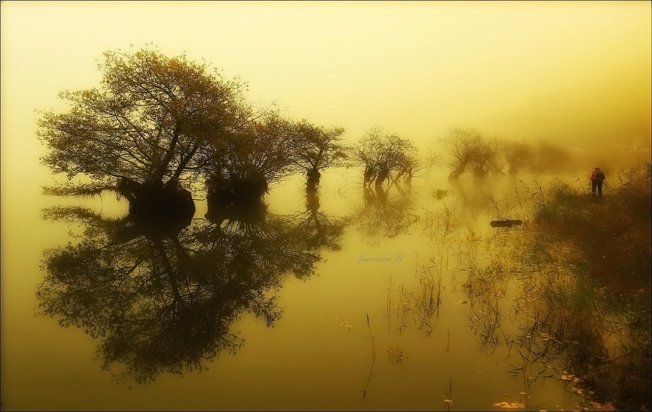 Фотография Misty lake автор Jaewoon U на 500px