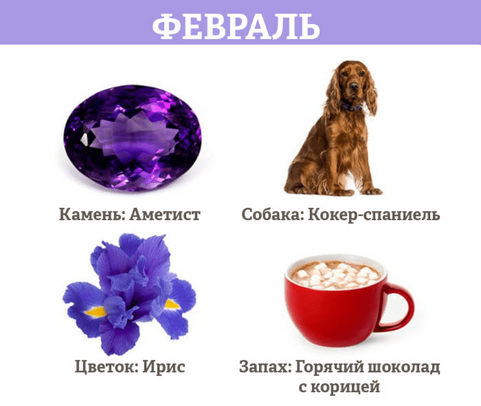 Гороскоп на февраль