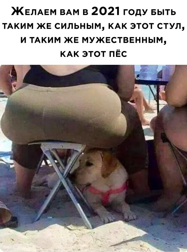 Подборка прикольных картинок Подборка прикольных картинок приколы,смешные картинки,юмор