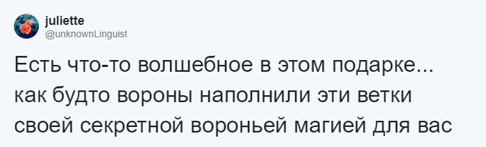 Мужчина четыре года кормил воронью семью, и те принесли ему таинственный дар 