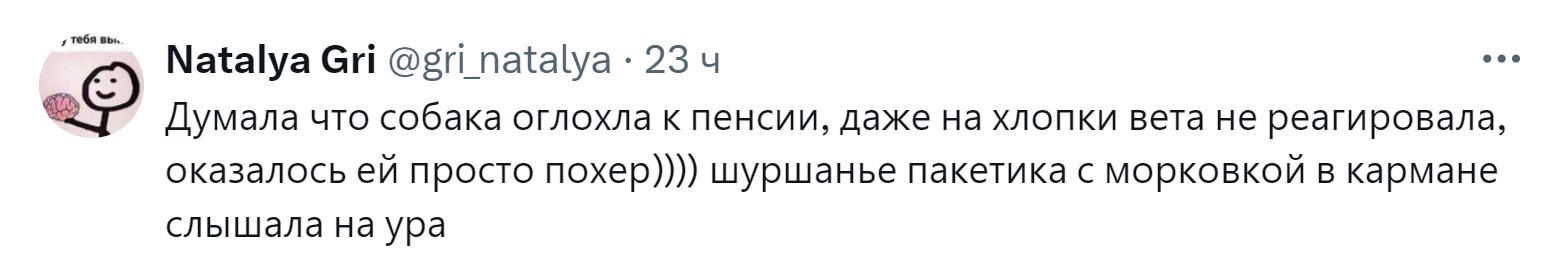 «Новообразование оказалось пупком»: 15 забавных причин, зачем питомцев возили к ветеринару правда, нужно, чтобы, кошки, совершенно, случае, возили, животных, животное, может, можно, своих, просто, узнать, ветеринару, внимание, Другое, Иногда, хозяин, начнёт