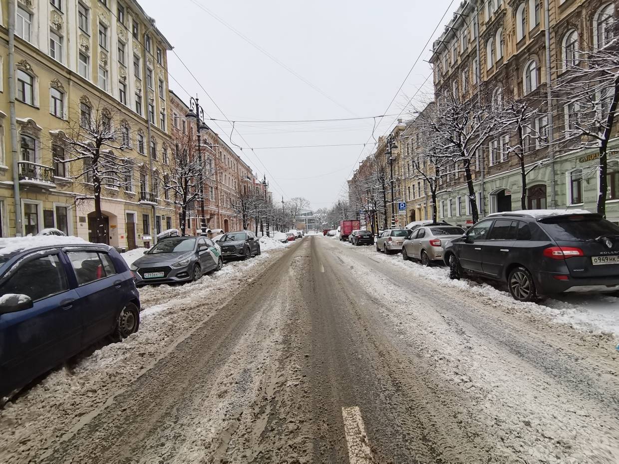 Биолог Глазков: Реагентами посыпают улицы Петербурга из экономии, а не ради удобства людей