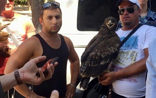 Крымские фотографы толпой избили туристов за отказ от фото Крымские фотографы толпой избили туристов за отказ от фото видео,Проишевствия,туризм