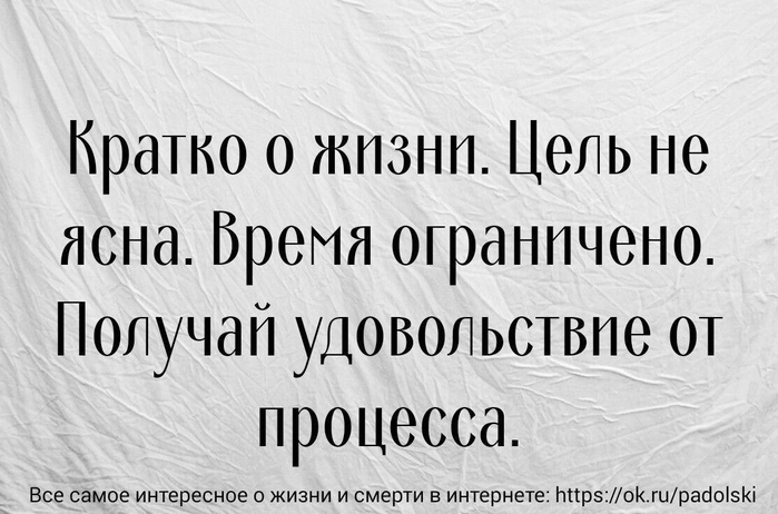Тараканов в моей голове сожрала белочка Тараканов в моей голове сожрала белочка анекдоты,веселые картинки,демотиваторы,юмор