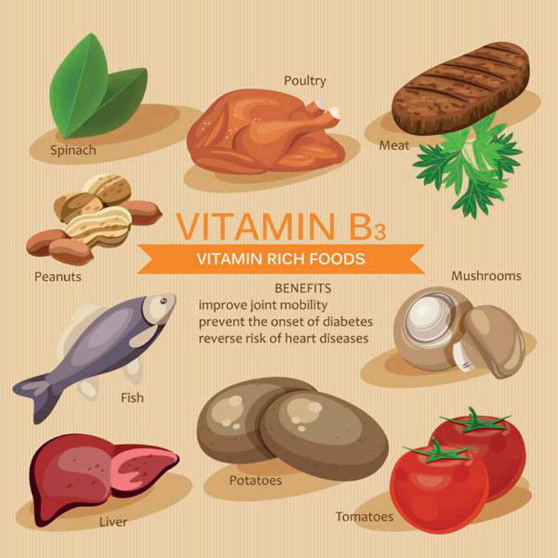 Ниацин: 7 полезных свойств витамина B3 витамин в3,ниацин