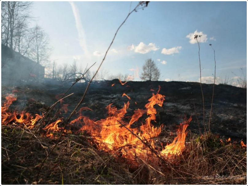 Пожароопасный период в забайкальском крае. Весенне-летний пожароопасный период. Особый пожароопасный период. Противопожарная безопасность пал травы.