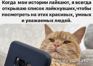 Моя бабушка очень любит пересматривать мои детские фото, при этом тихо шепча себе под нос: 