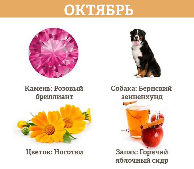 Гороскоп на октябрь