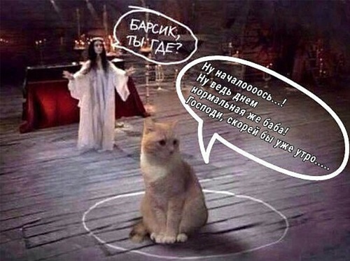 Поход в гипермаркет