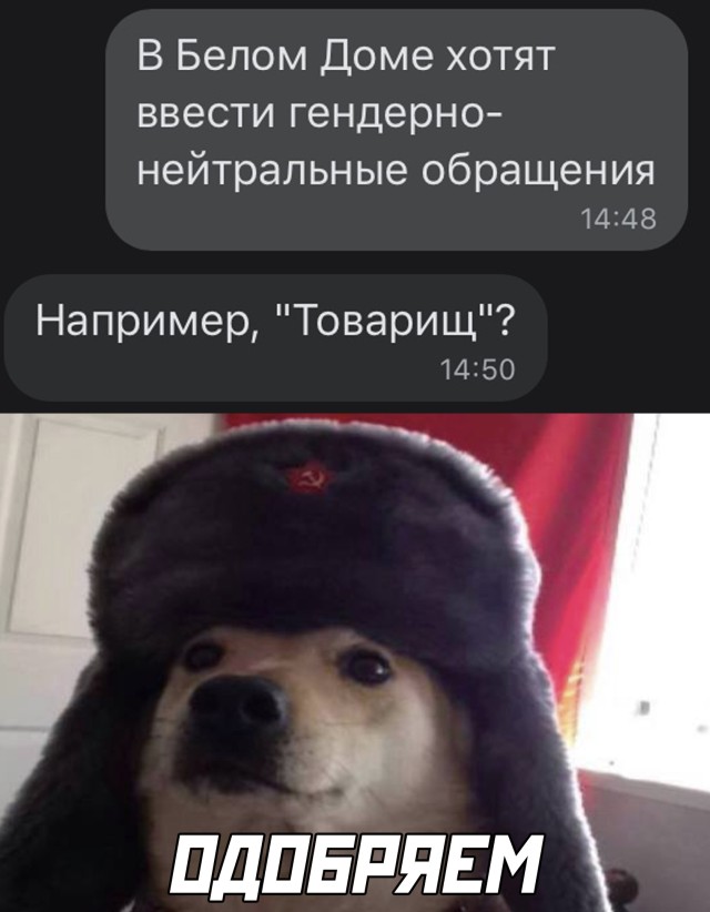 Подборка прикольных картинок.   приколы,смешные картинки,юмор