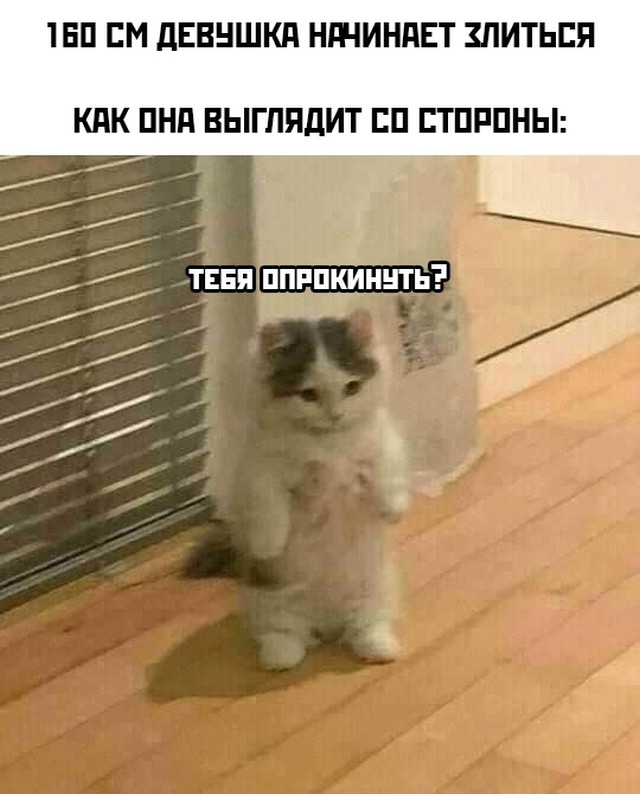 Подборка прикольных картинок  приколы,смешные картинки,юмор