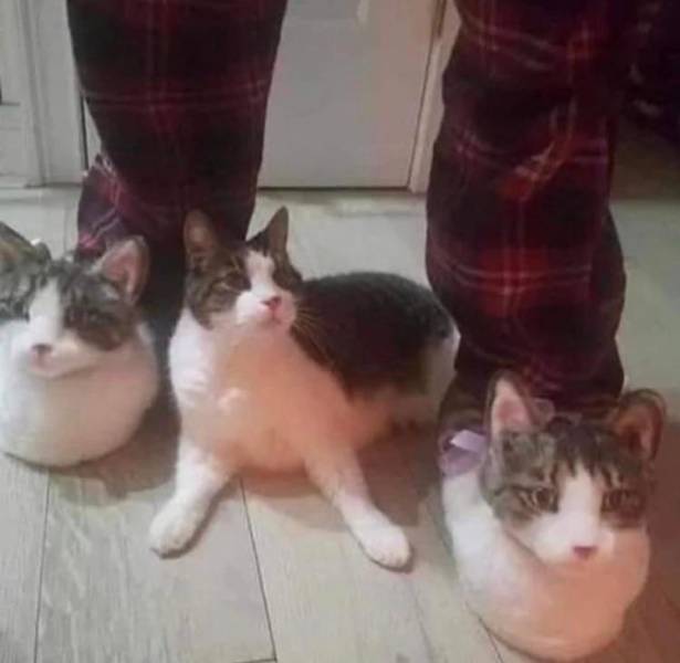 Подборка прикольных картинок Подборка прикольных картинок приколы,смешные картинки,юмор