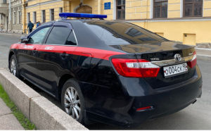 Главой ведомства затребован доклад о ходе проверки по факту нападения группы подростков на девочку в Санкт-Петербурге