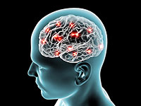 Как мозг реагирует на боль?