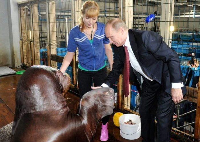 Жизнь Владимира Путина глазами американцев Жизнь Владимира Путина глазами американцев