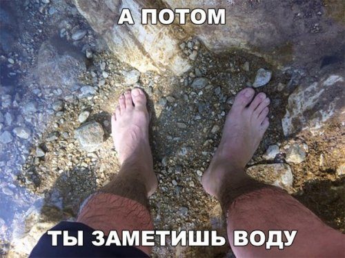 Свежие прикольные фотомемы