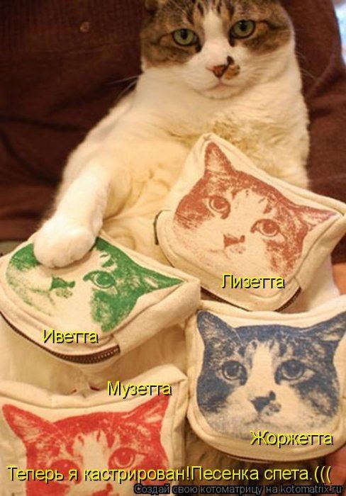 Мысли вслух :)