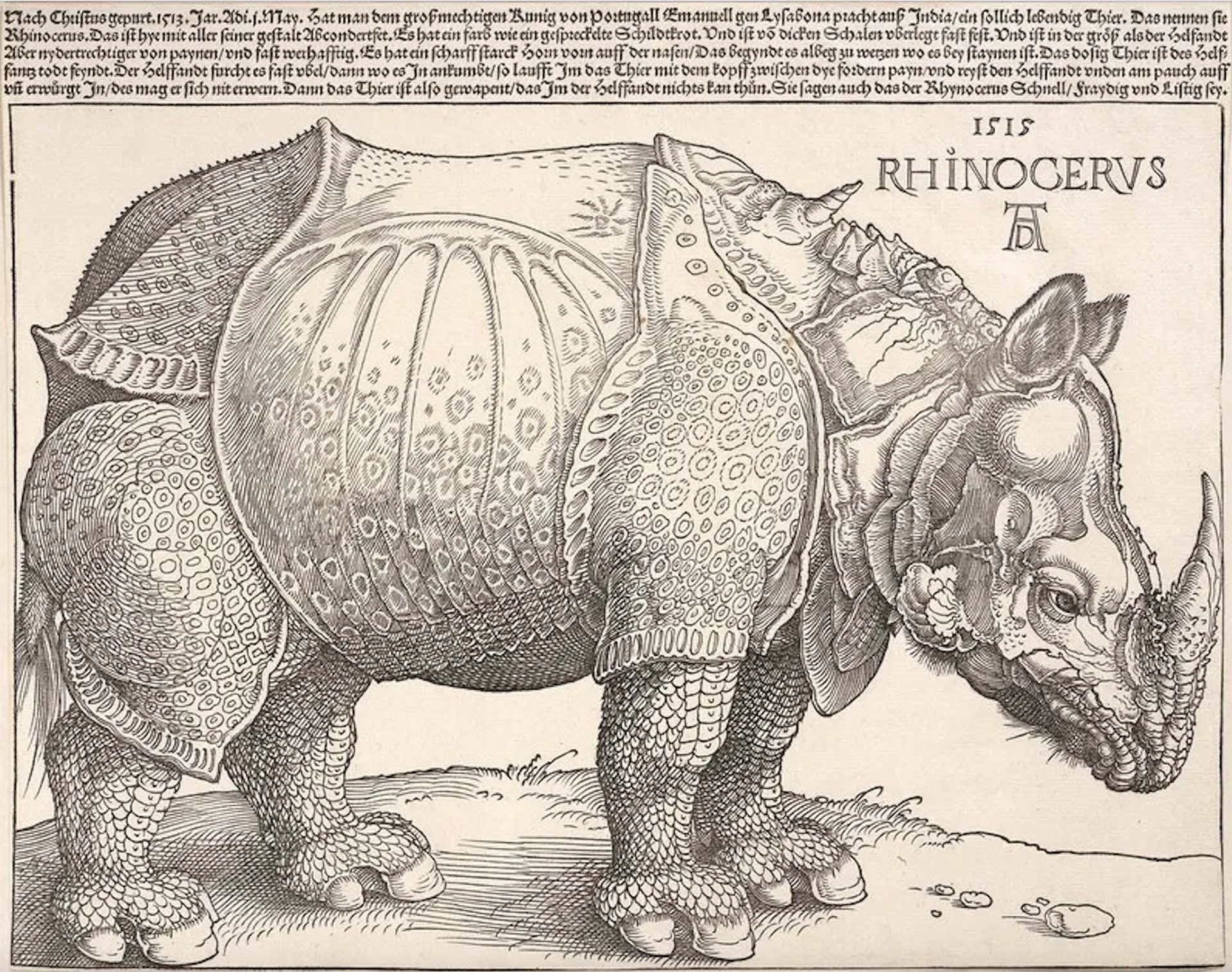 Альбрехт Дюрер, «Носорог», 1515 год