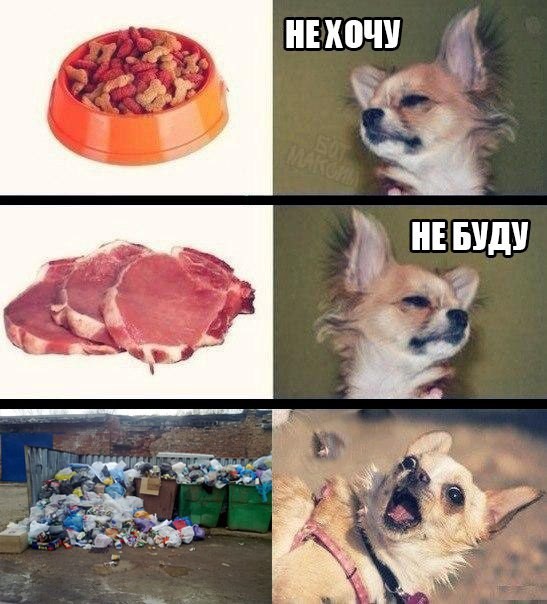 Смешные комментарии и высказывания из социальных сетей высказывания, комментарии, прикол