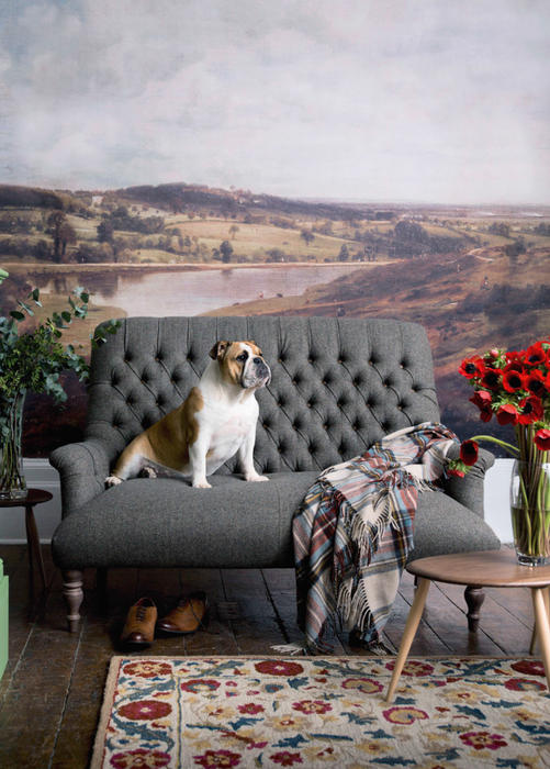 Стили интерьера - 6 основных направлений для «чайников» интерьер и дизайн,стили интерьера