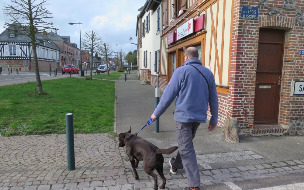 Во французском городке штрафуют за лай собак